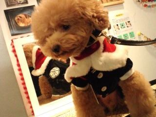 �P�[�v������