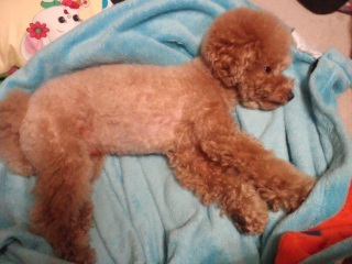 �����E�e�B���̃����b�N�X�p