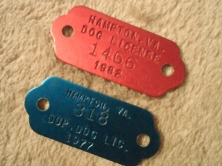 �W�����N�V���[�험�i�D