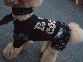 �����̃����E�e�B����