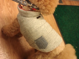 �����̃����E�e�B����