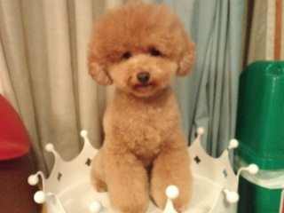 �c��݉߂��ā`(��)