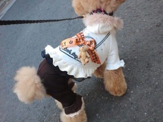 �����̃����E�e�B����