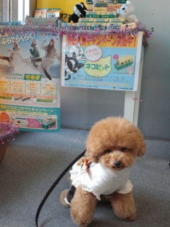 ������N���l�R���}�g