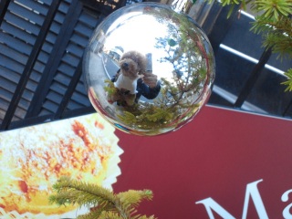 �c���[�̃I�[�i�����g