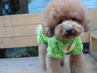 �����E�e�B���~��