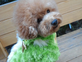 �Ȃ��Ȃ��U������́c