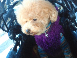 �}�}�ƈꏏ�Ɂ�