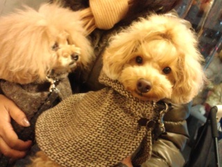 �݂�����A