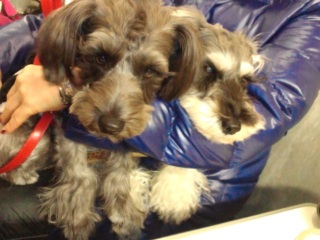 �͂Ȃ����o��