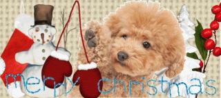 �F�l�Ƀ����[�N���X�}�X��