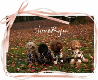 IloveRyu12/25�X�V�I