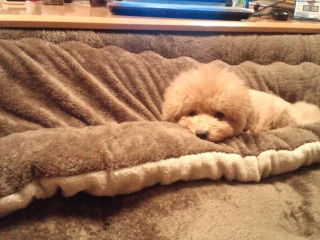 �j�g�����i�A