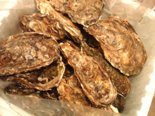 �݂ǂ肳�񂠂肪�Ƃ���