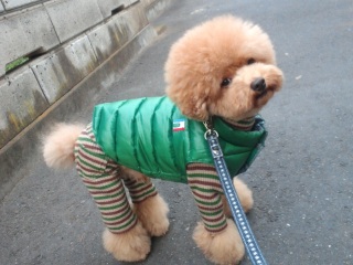 �����̃����E�e�B����