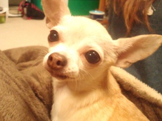 �������ǈ��̂͂ԁ[�����