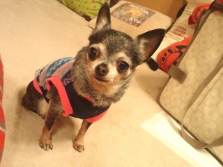 ���������ǈ��̂̓L���b�L���b