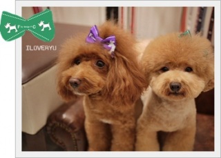 IloveRyu12/26�X�V�I