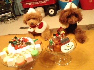 �H�ׂ�O�ɃV���[�S�[