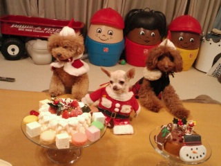 �ԁ[�������Q��