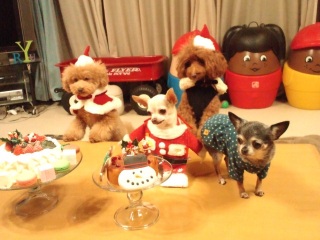 �L���b�L���b������܂����[�b