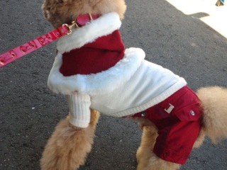 �����̃����E�e�B����