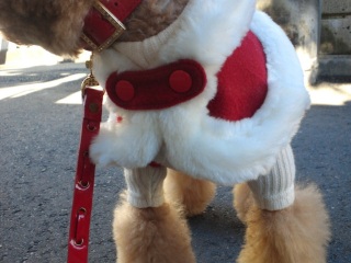 �����E�e�B���X�^�C��