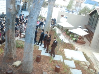 LeVelvets����