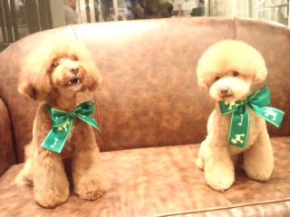 ���N�Ō��trimming