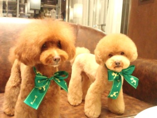 �����E�e�B�������������I