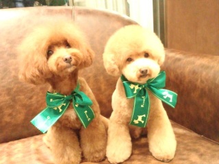 ������[��