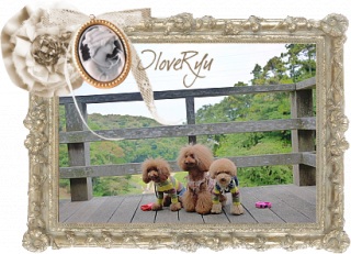 IloveRyu12/28�X�V�I