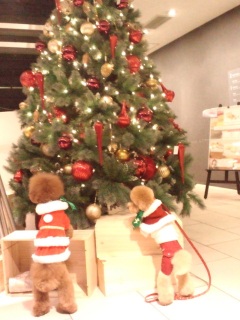 ���ォ�ꂽ�񂾂���I