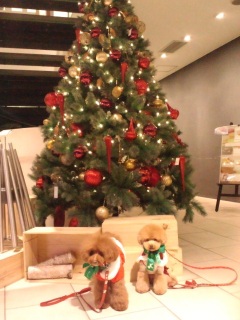 �����܂��ăn�C�|�[�Y