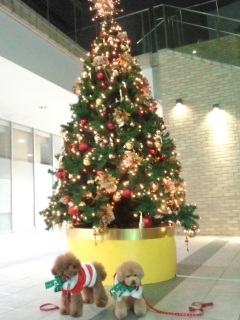 �㊯�R�Ƀq�b�\���c