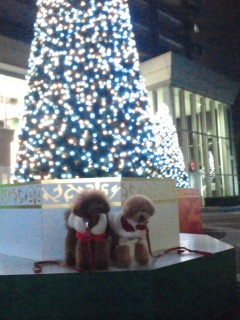 �g�т����D�G