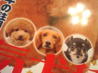 ������ƃN���[�Y�A�v�[