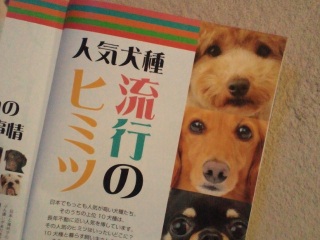 ���[�������E�e�B���I