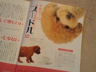 �s����1�ʂ̓v�[�h�������āI