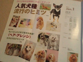 �ڎ��ɂ��I