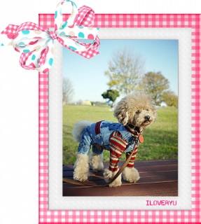 IloveRyu12/30�X�V�I