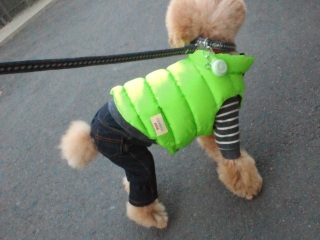 �����̃����E�e�B����