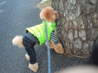 �߂���Ђ����N���N�������I