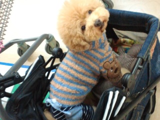 �����̃����E�e�B����