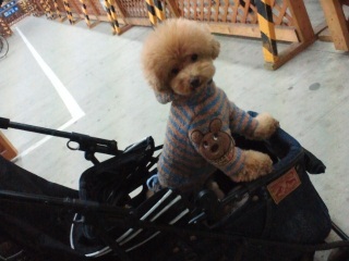 �J�[�g����Ă�Ƌ��C