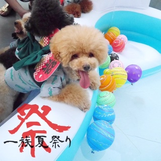 DCɂȂ邩Ń^b`c