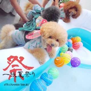 なんかやらかしそうなこの顔がかわいいっ