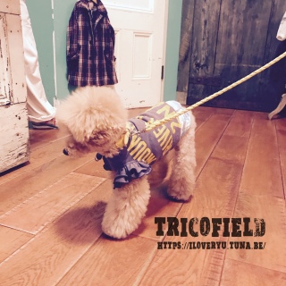 tricofield