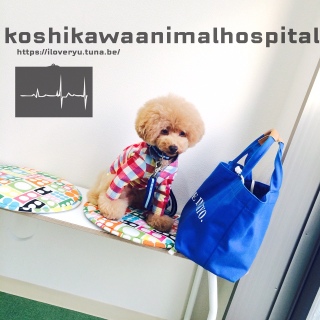2015/10�������퓮���a�@�ɂāB