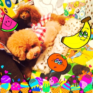 �����E�������I